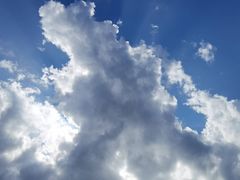 -姚家猪蹄坊(蓝田县店)