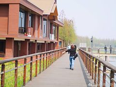-太湖湖滨国家湿地公园-停车场