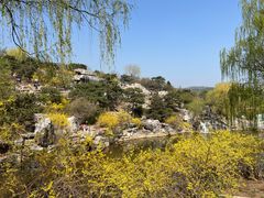 -北京西山国家森林公园