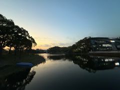 -新江湾城公园