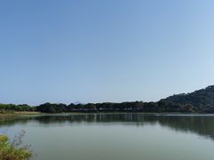 -风云岭森林公园