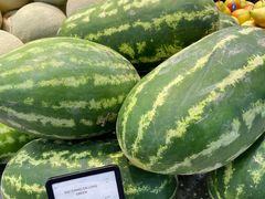 -迪拜帆船酒店海底餐厅