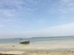 -北海金海湾红树林生态旅游区