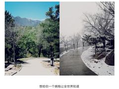 -白水寺森林公园