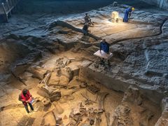 景点-自贡恐龙博物馆