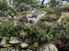 -罗红摄影艺术馆