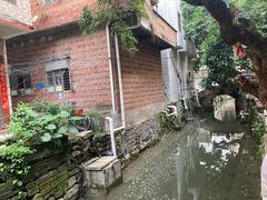 -小洲村
