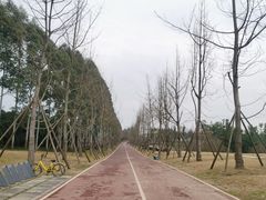 -白鹭湾湿地公园