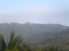 -三亚亚龙湾金棕榈度假酒店