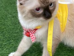 -梧桐巷咖啡厅·coffee&bar