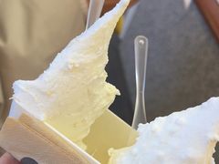 -野人先生Gelato(上海长宁龙之梦店)