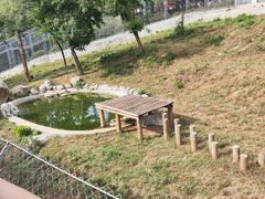 -石家庄市动物园