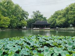 -忠山公园