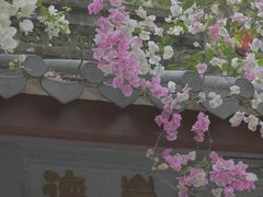 -深圳国际园林花卉博览园