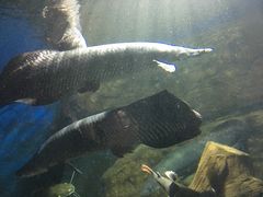 -泉州海丝野生动物世界