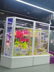 -反弹蹦床公园·亲子乐园·团建·派对(中庚漫游城店)