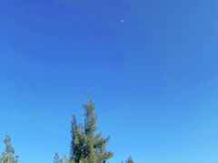 -五缘湾湿地公园