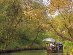 -西溪国家湿地公园