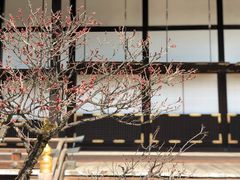 -京都御所