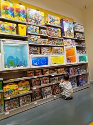 -乐高授权专卖店(浦东嘉里城店)