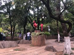 -昆明动物园