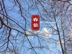 -东莞植物园