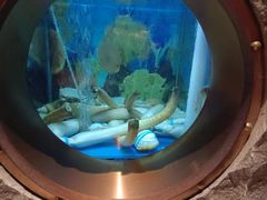 -辉哥火锅(虹桥路店)