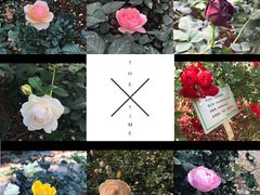 -人民公园(罗湖区)