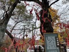 -水峪民俗村