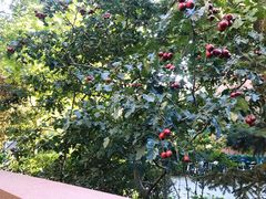 -中粮万科长阳半岛