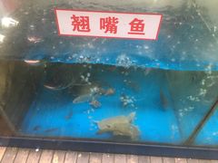 -二厨·吊桥小院·脆皮烧鸡公·本地农家菜(沿江西路店)