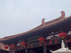 -神州牡丹园