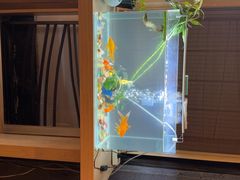 -SPA·印象足道养生(大运河度假区四望亭店)