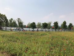 -长廊欢乐园