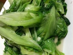 生菜-东馆和天下特色餐饮(工农店)