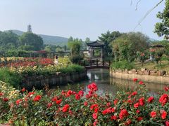 -龙寺生态园