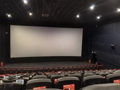 -万达影城(IMAX激光铁西万达广场店)