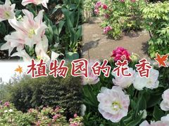 -国家植物园南园