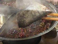 白乐天特供毛肚-白乐天毛肚火锅馆(南滨路店)