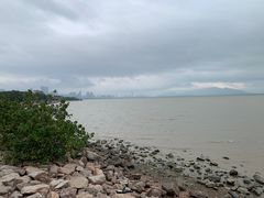 -深圳湾公园(南山区)