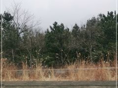-八达岭滑雪场
