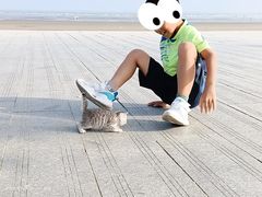-大鹿岛