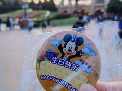 -上海迪士尼度假区