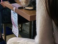 -平行世界·猫咖(首经贸店)