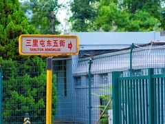 -三里屯东五街银杏大道