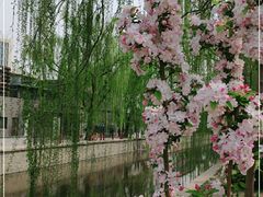 -元大都城垣遗址公园