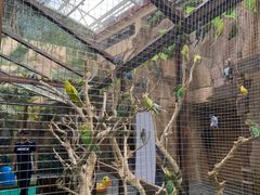 -杭州开元森泊度假乐园