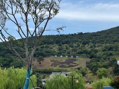 -东海半边山旅游度假区