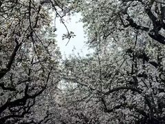 -江苏三台山国家森林公园
