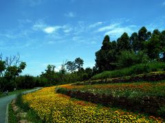 -白鹭湾湿地公园